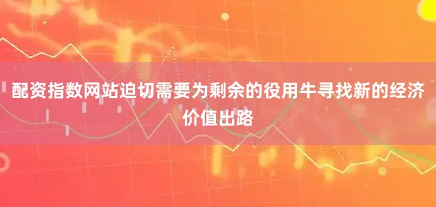 配资指数网站迫切需要为剩余的役用牛寻找新的经济价值出路