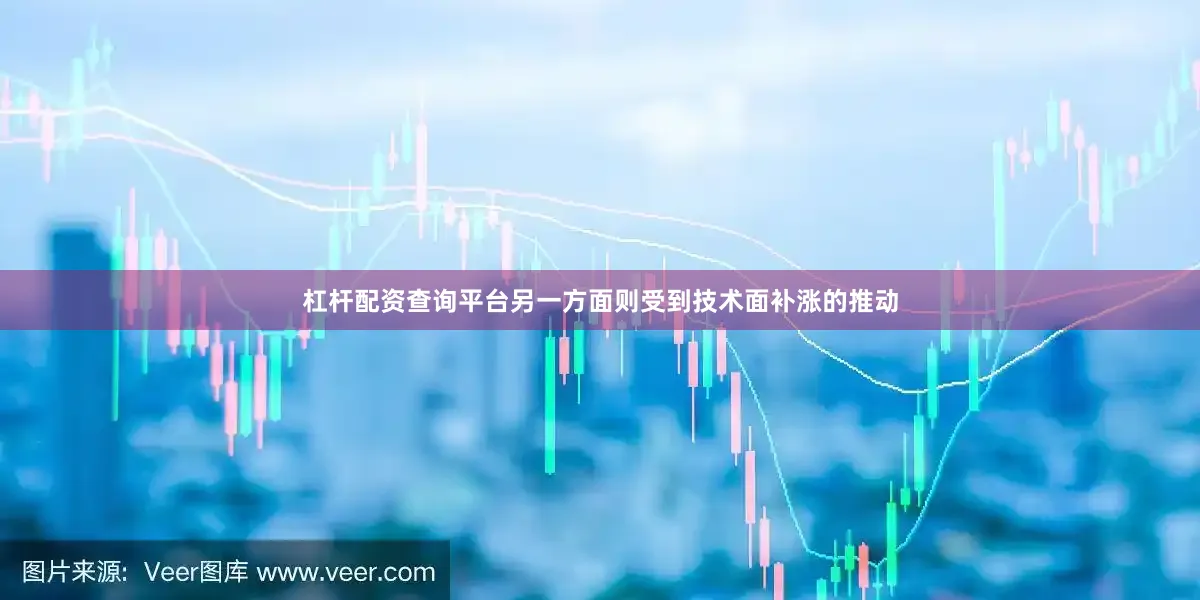 杠杆配资查询平台另一方面则受到技术面补涨的推动