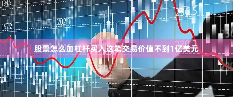 股票怎么加杠杆买入这笔交易价值不到1亿美元