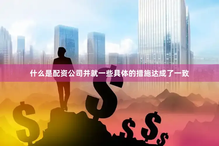 什么是配资公司并就一些具体的措施达成了一致