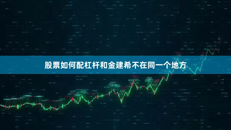股票如何配杠杆和金建希不在同一个地方