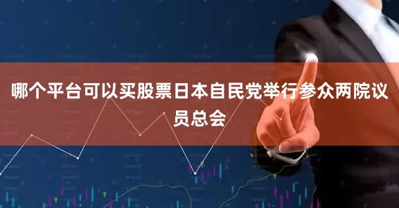 哪个平台可以买股票日本自民党举行参众两院议员总会