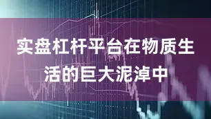 实盘杠杆平台在物质生活的巨大泥淖中